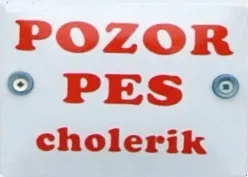text 13