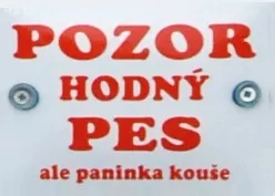 text 15